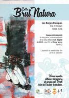 Cartell de l'exposició '20è aniversari de la colla sardanista Brut Natura de les Borges'